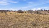 Lot 44 County Road 266 - Photo 10