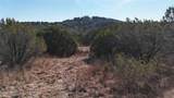 TBD County Road 156 - Photo 12
