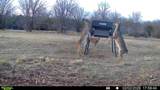 TBD County Road 156 - Photo 2