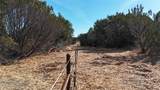 TBD County Road 156 - Photo 31