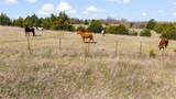 11016 State Highway 78 - Photo 27