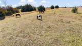 11016 State Highway 78 - Photo 28