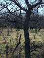 TBD 13.846 Acres Winn Road - Photo 1