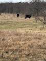 TBD 13.846 Acres Winn Road - Photo 2
