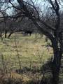 TBD 13.846 Acres Winn Road - Photo 5