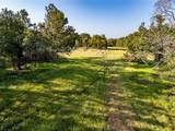 21574 Riva Ridge - Photo 12