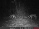 13550 County Road 2919 - Photo 32