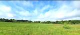 TBD George Wachel Rd. Road - Photo 3