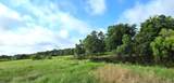 TBD George Wachel Rd. Road - Photo 4