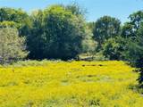TBD County Road 3045 - Photo 4