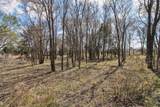 TBD Mission Drive - Photo 10