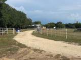 16515 Us Highway 281 - Photo 17