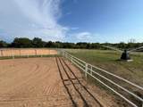 16515 Us Highway 281 - Photo 22