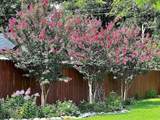 2316 Diana Street - Photo 36