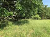 17061 Trailwood Drive - Photo 11