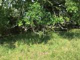 17061 Trailwood Drive - Photo 12