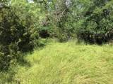 17061 Trailwood Drive - Photo 31
