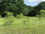 17061 Trailwood Drive - Photo 4
