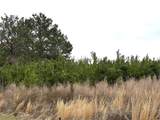 3049 Hwy 507 - Photo 36