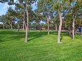 12424 Lake Forest Drive - Photo 16
