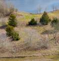 4058 Vista Oak Drive - Photo 20
