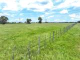 Tract 1 Fm 855 - Photo 11