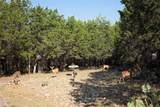 880 Cliffs Drive - Photo 22
