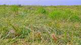 TBD Hwy 79 - Photo 15