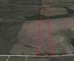 511 Farmer Road - Photo 1