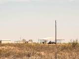 610 Acres Fm-2119 - Photo 11