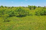 556 Acres 281 Highway - Photo 14