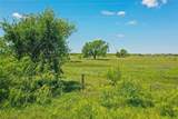 556 Acres 281 Highway - Photo 15