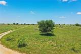 556 Acres 281 Highway - Photo 16
