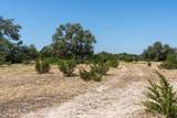 289 Acres County Rd 24 - Photo 3