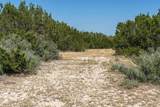 289 Acres County Rd 24 - Photo 33