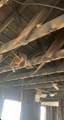 1223 Preston Street - Photo 6