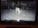 1485 Cr 44550 - Photo 10