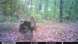 1485 Cr 44550 - Photo 14