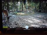 1485 Cr 44550 - Photo 9