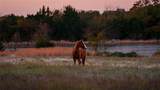 1210 County Road 232 - Photo 34