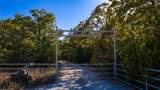 1210 County Road 232 - Photo 39