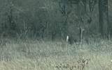 Lot 24 Pr 6332 - Photo 5