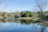 Tract 4 County Road 386 - Photo 11