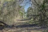 Tract 4 County Road 386 - Photo 13
