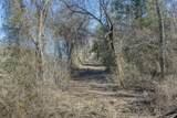 Tract 4 County Road 386 - Photo 15