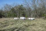 Tract 4 County Road 386 - Photo 8
