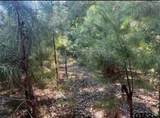 22847 Fm 2215 - Photo 38