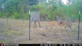 3222 Fm1254 - Photo 14