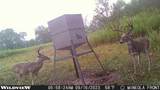 3222 Fm1254 - Photo 17