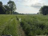 3222 Fm1254 - Photo 8